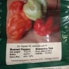 habanero-orange