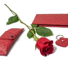 Set accesorii, piele de strut, rosie